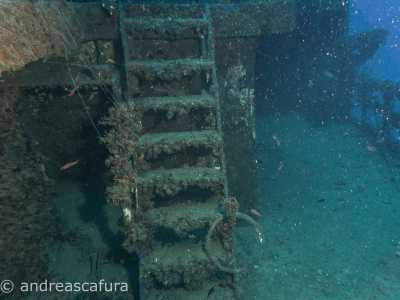 ...e scalette colonizzati da cozze e ostriche giganti
